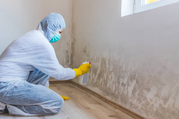 Crawl Space Mold Remediation treatment of floor joists in Murfreesboro